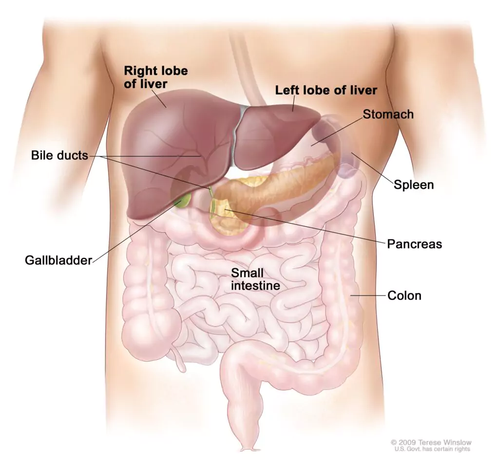 hepatobiliary-cancer-treatment-in-pcmc